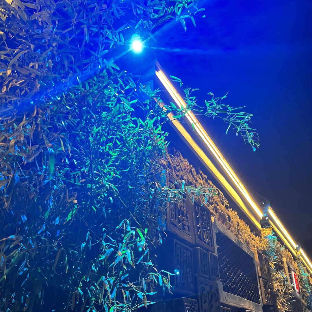 森活鱼块