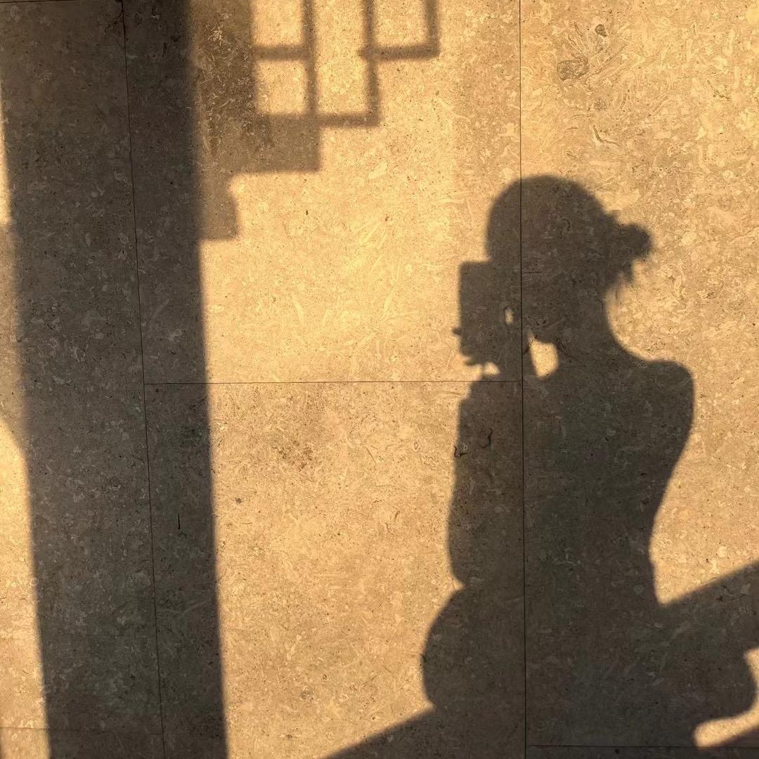 白鸽_