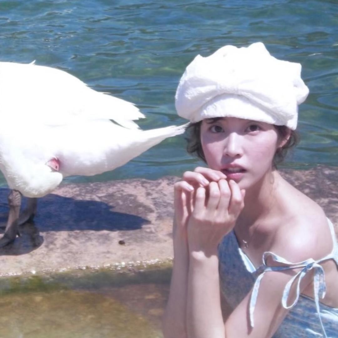 幸运鹅🦢