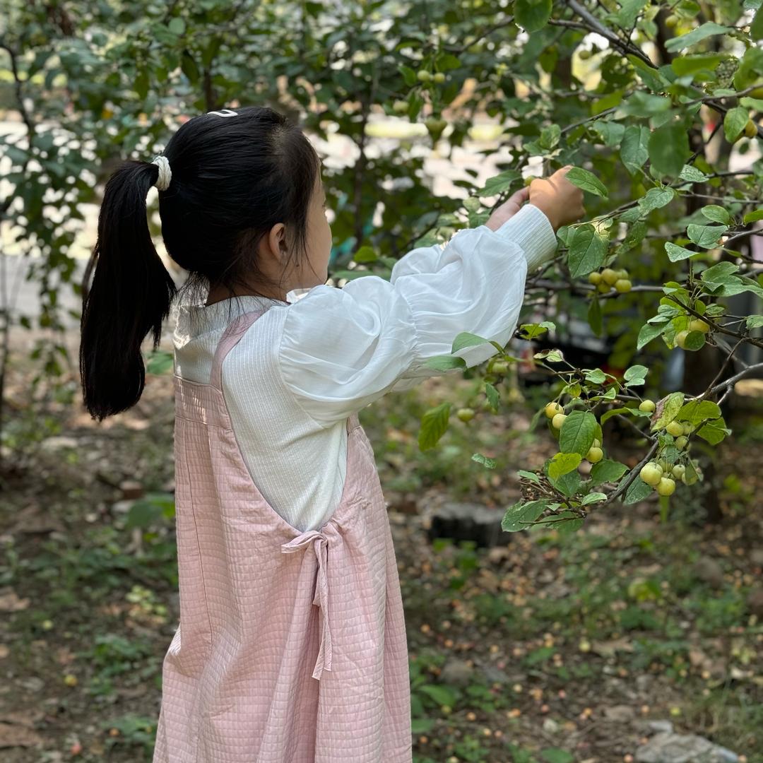 @妍妍吖🎊