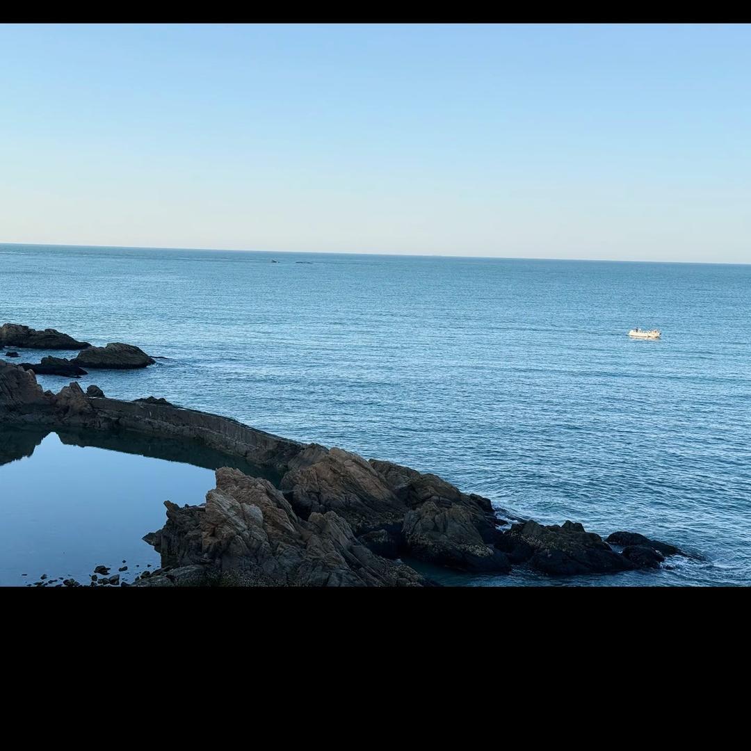 紫沫