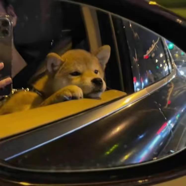 网友z.o
