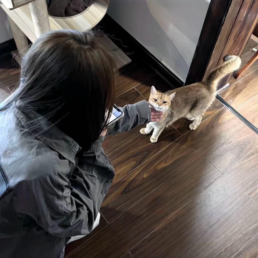 总是被男人骗感情的小羊-