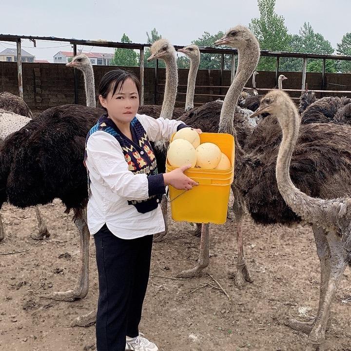 盛鲁生态养殖