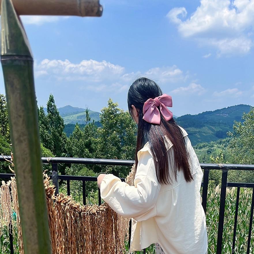 琴妹子乡村美食