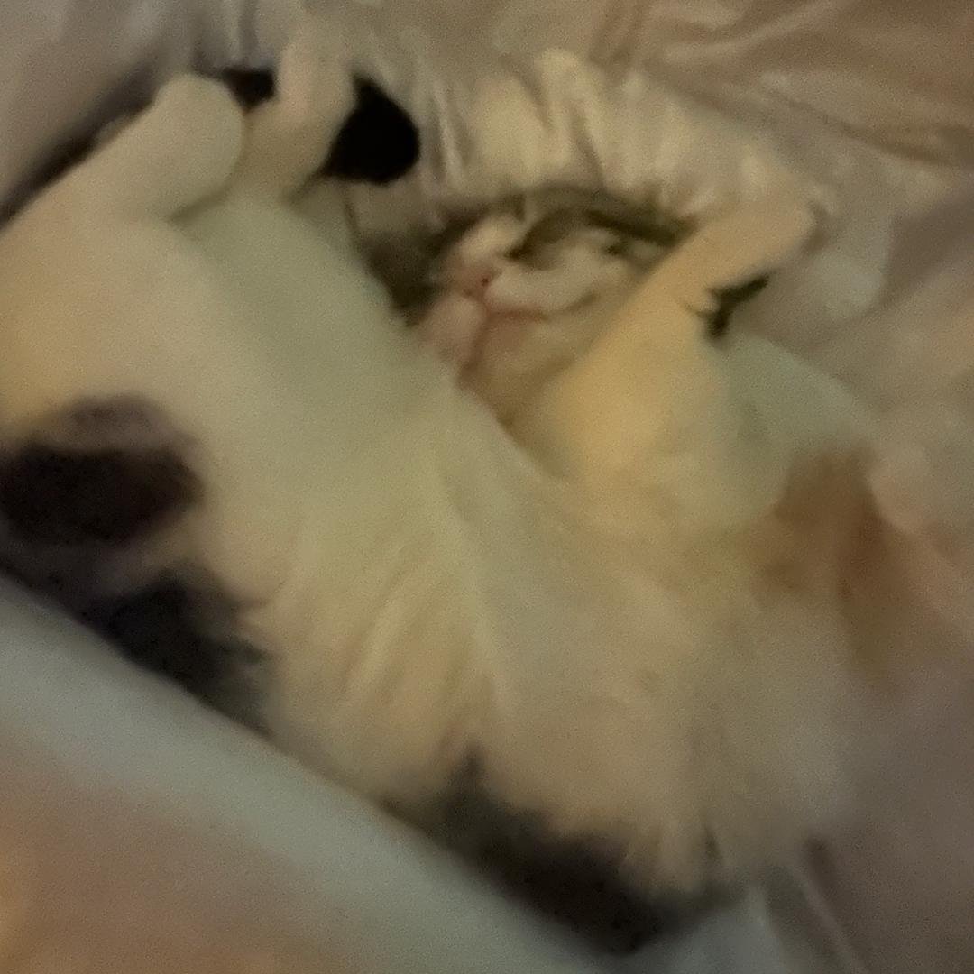 随便看看