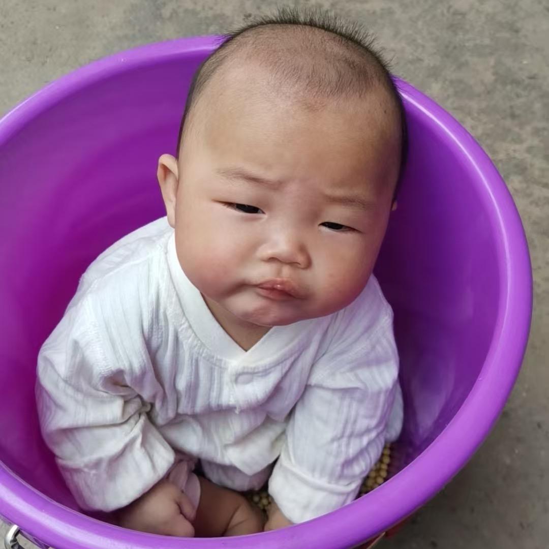 从来新过