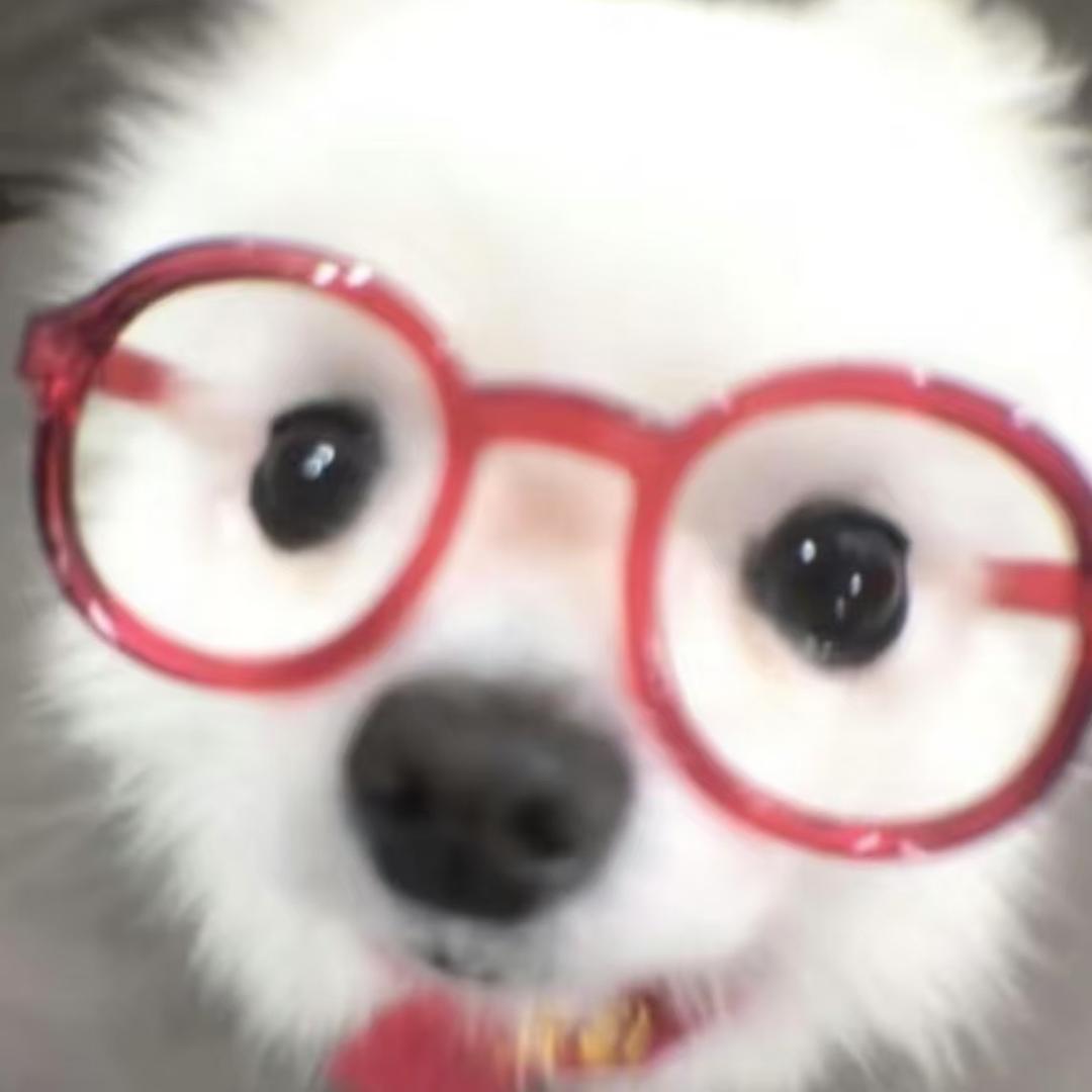 niconico