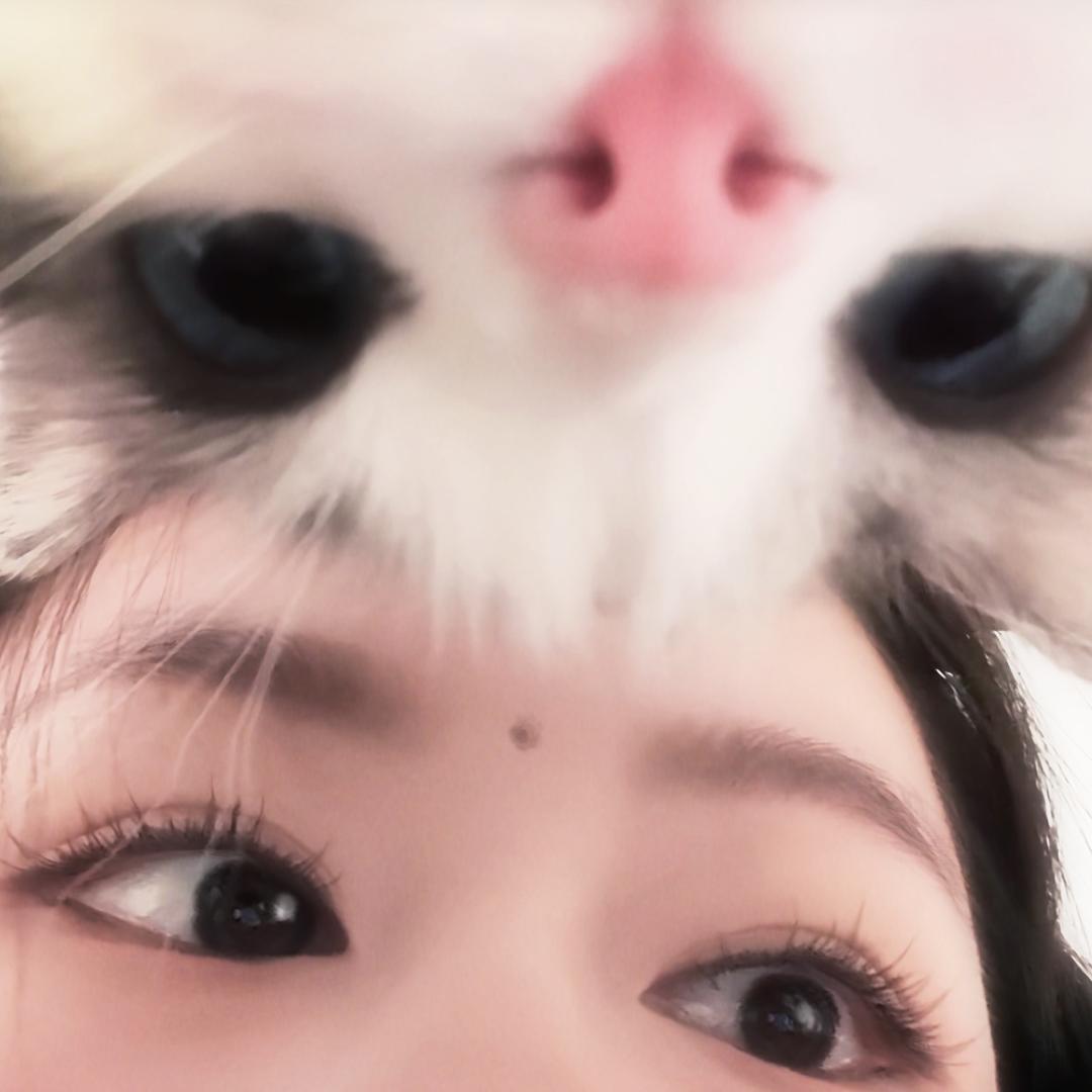 谭胖胖很胖@