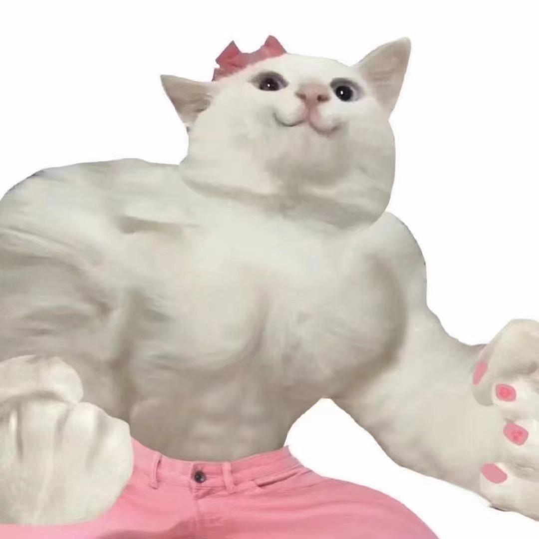 肌肉猛猫