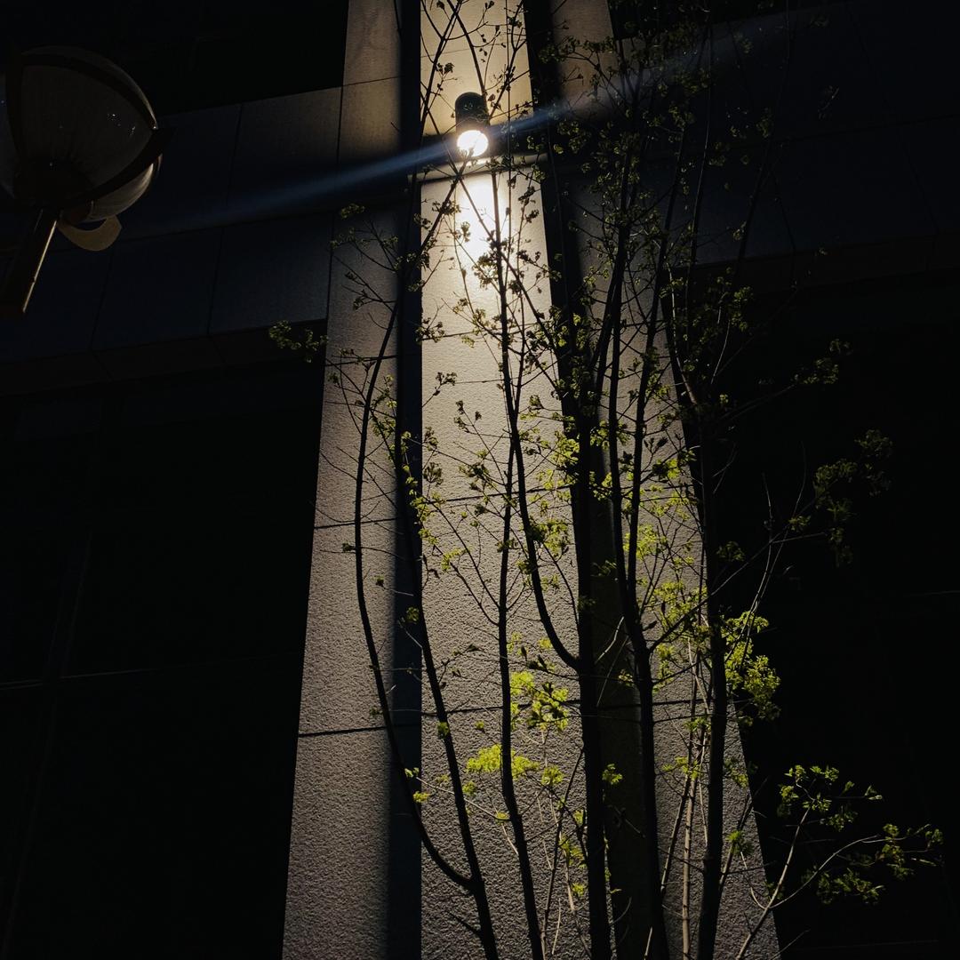 叻欸L