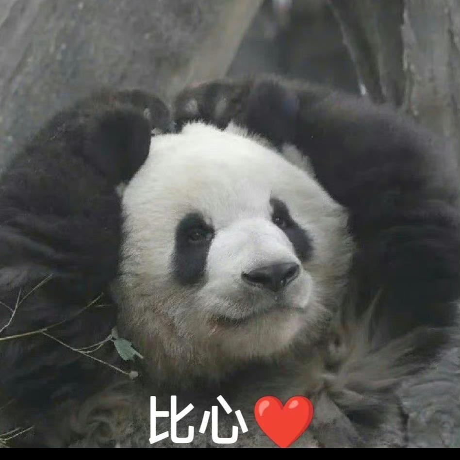 脆脆鲨