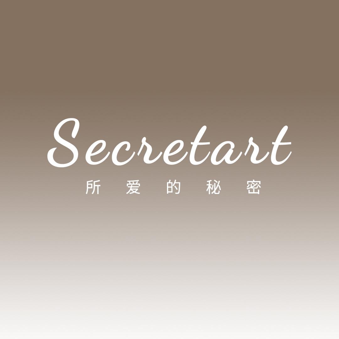 所爱的秘密Secretart