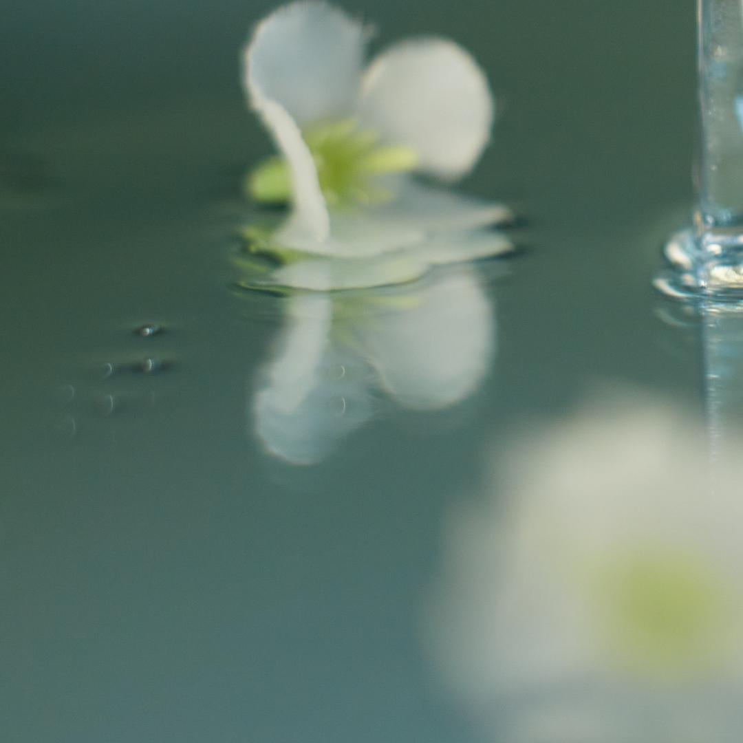 少侠的江湖