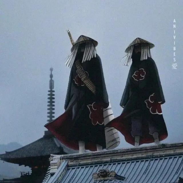随欲