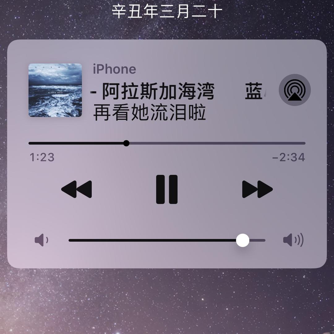 菲猪儿