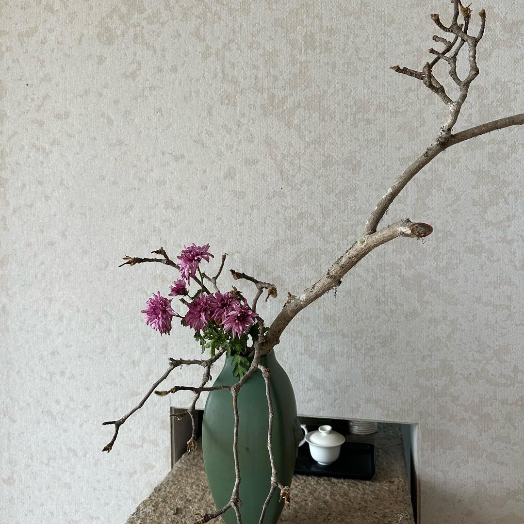 江湖十三姨