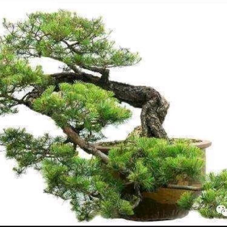 阳光