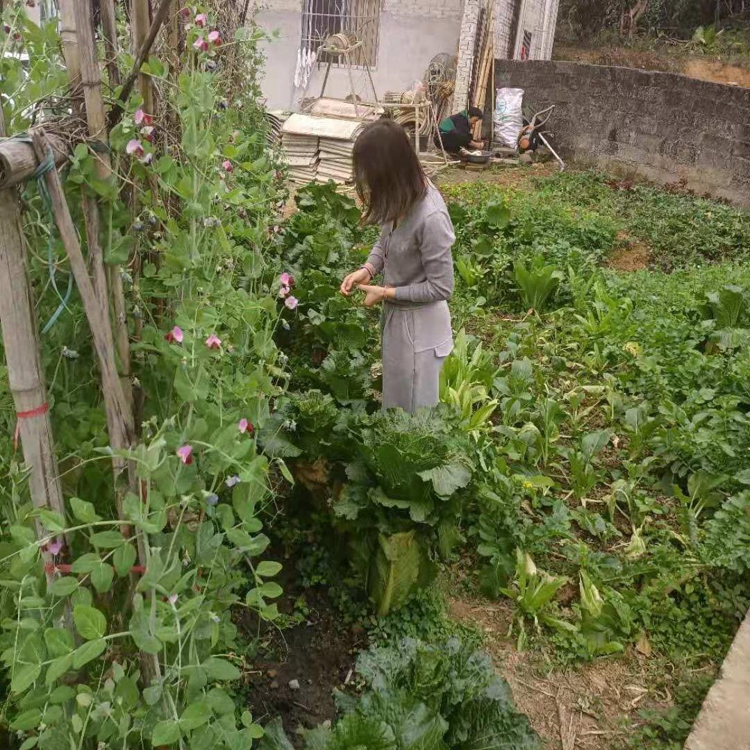 我的生活的方式