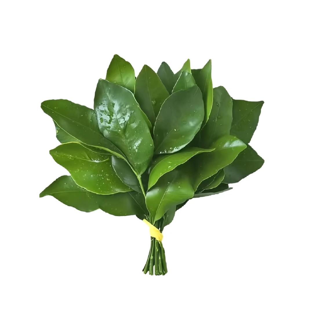 九粥.