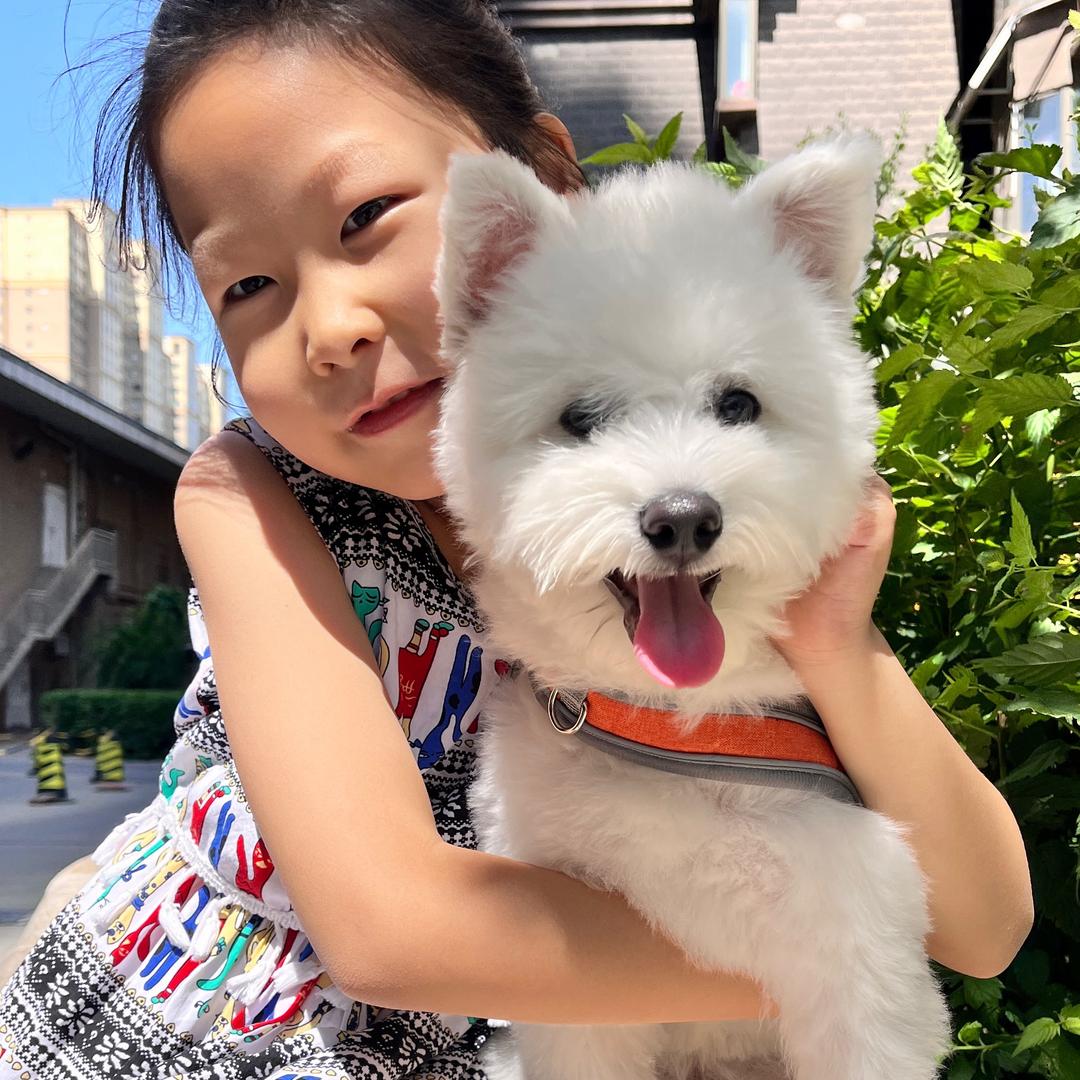 家有「西高串」