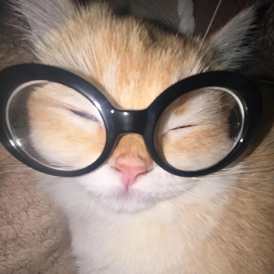 嘤嘤