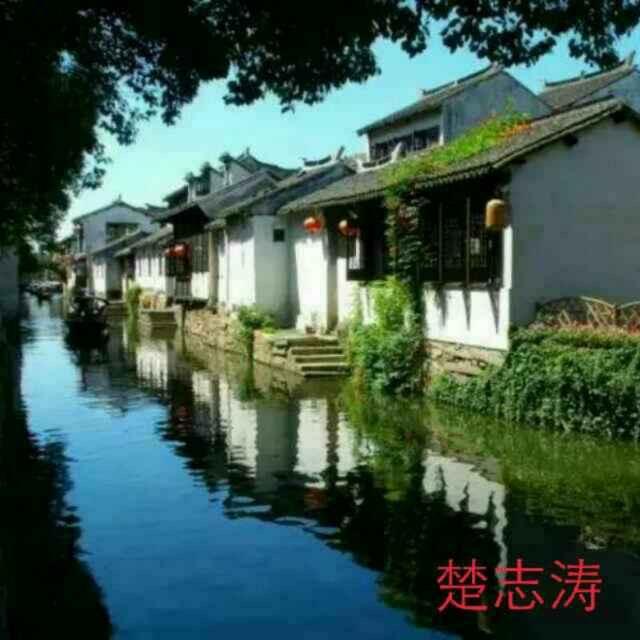 楚志涛