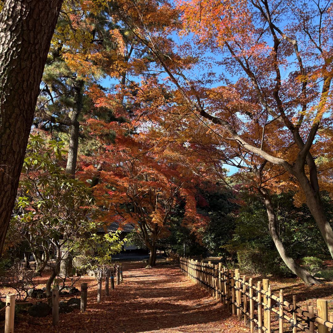 袁大力是袁壮壮他爸