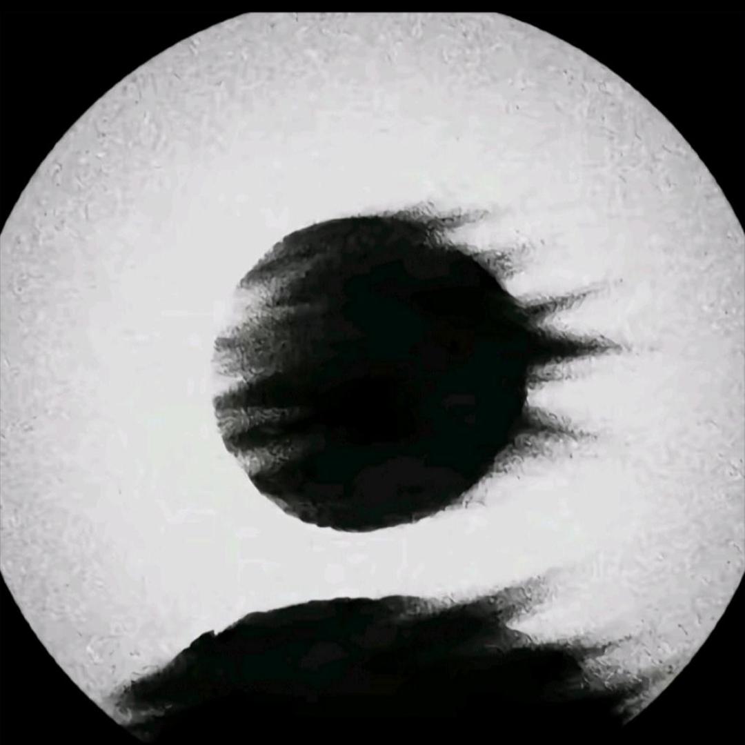 一只秋秋鸭（小扁担）