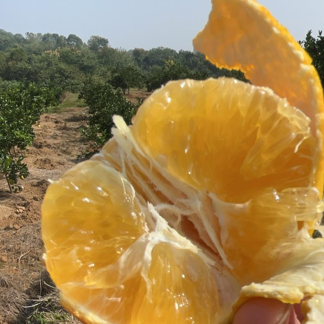 挚爱❤️❤️－身