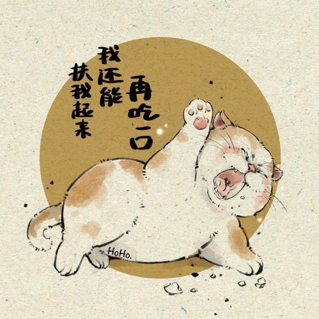 豆拉🐱头像