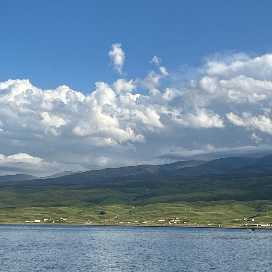 AAA酚醛胺固化剂批发刘总