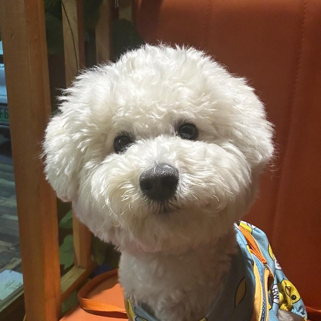 反应慢的天然呆