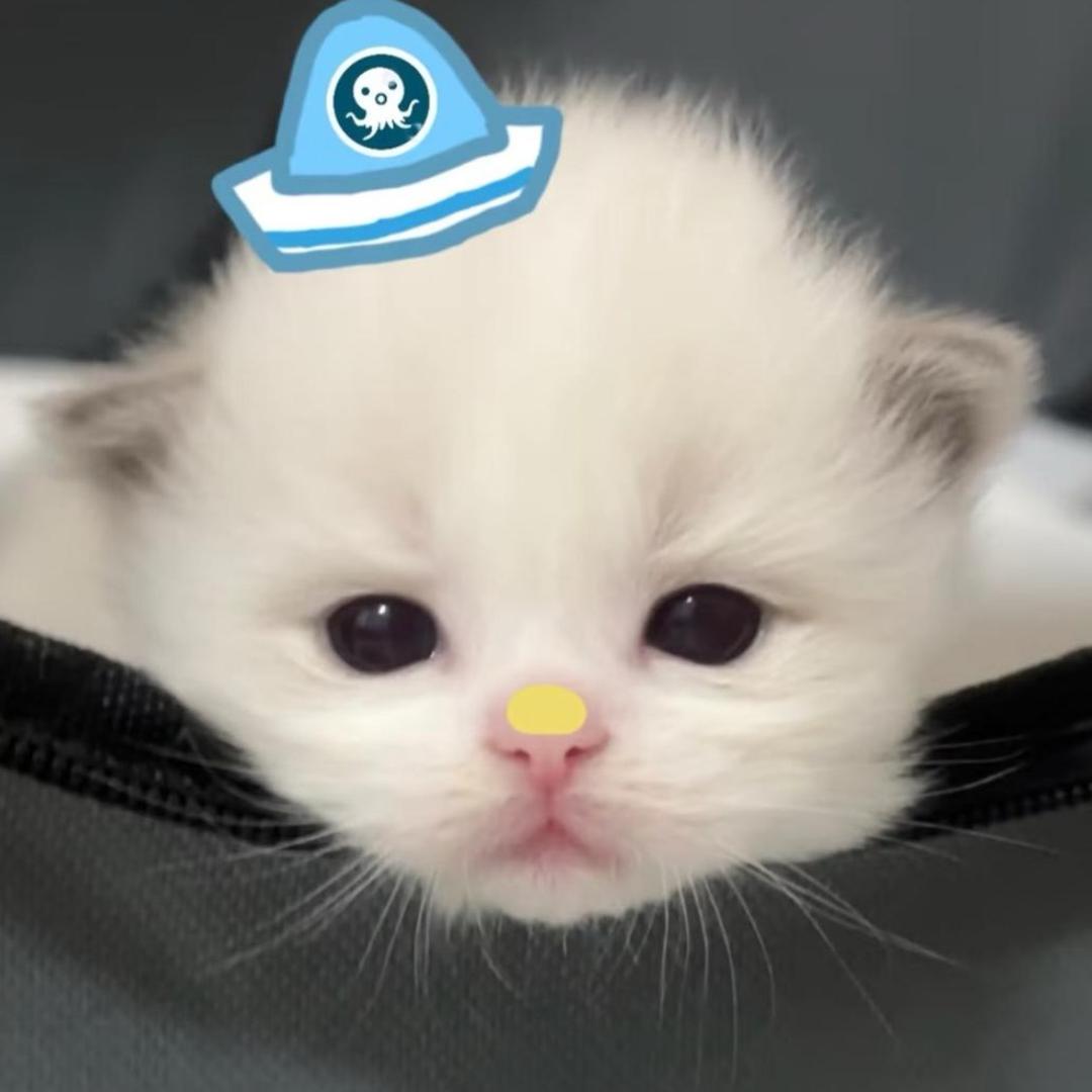 niki