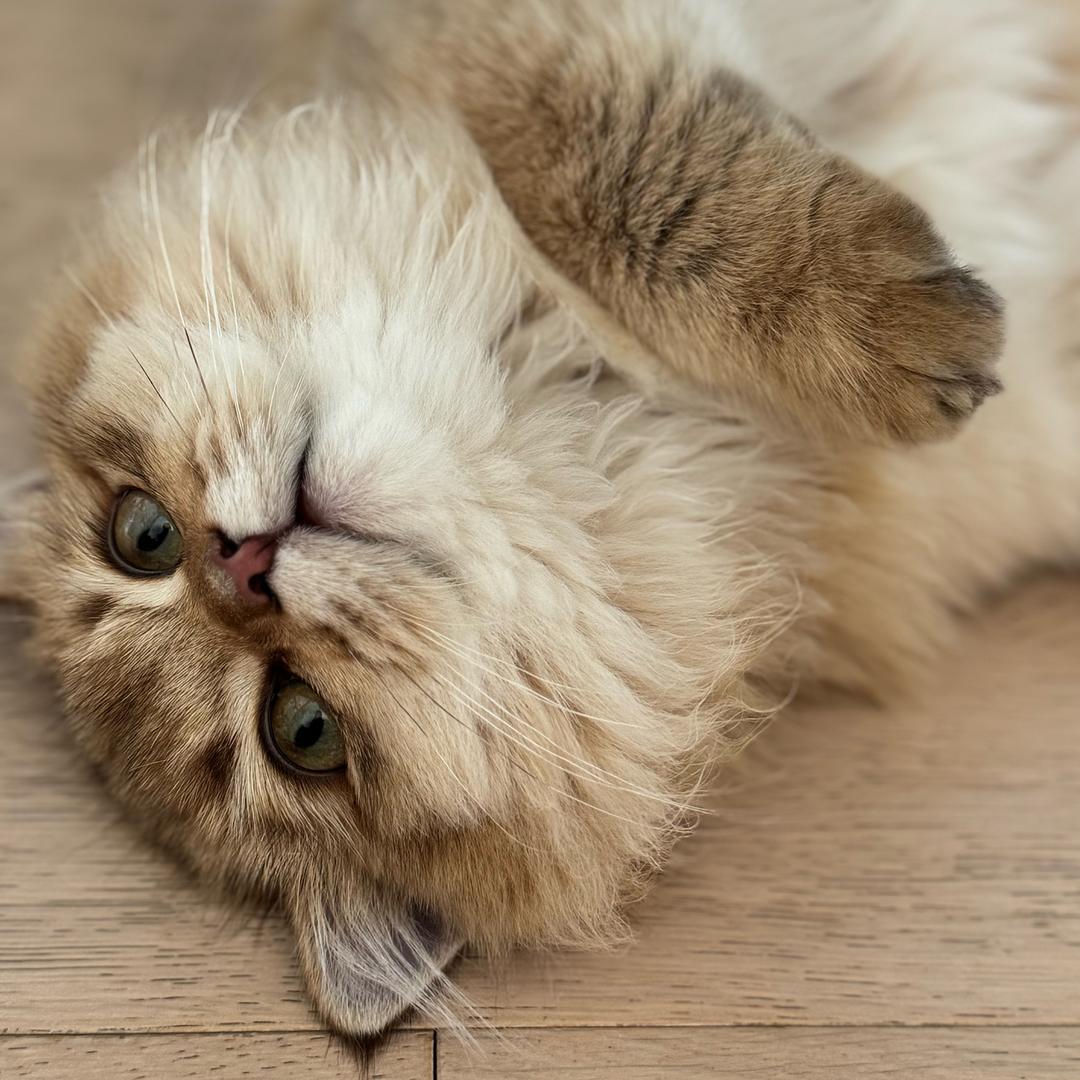 肥紧紧🌈⁹¹⁰⁰