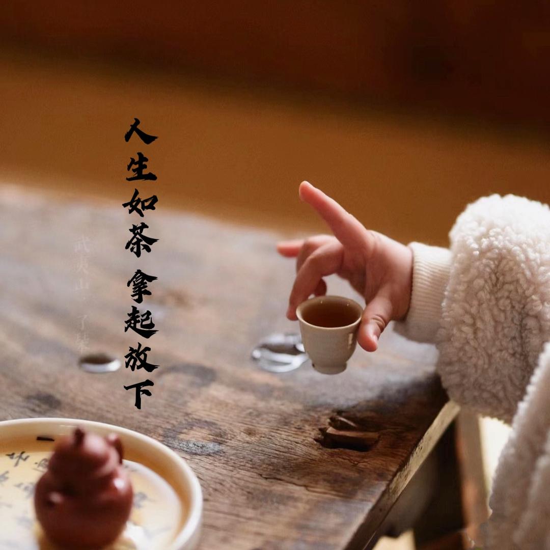茶小白卖白茶