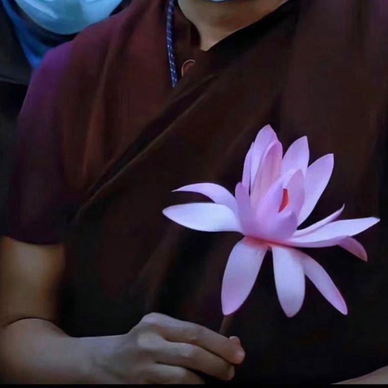 泡泡龙