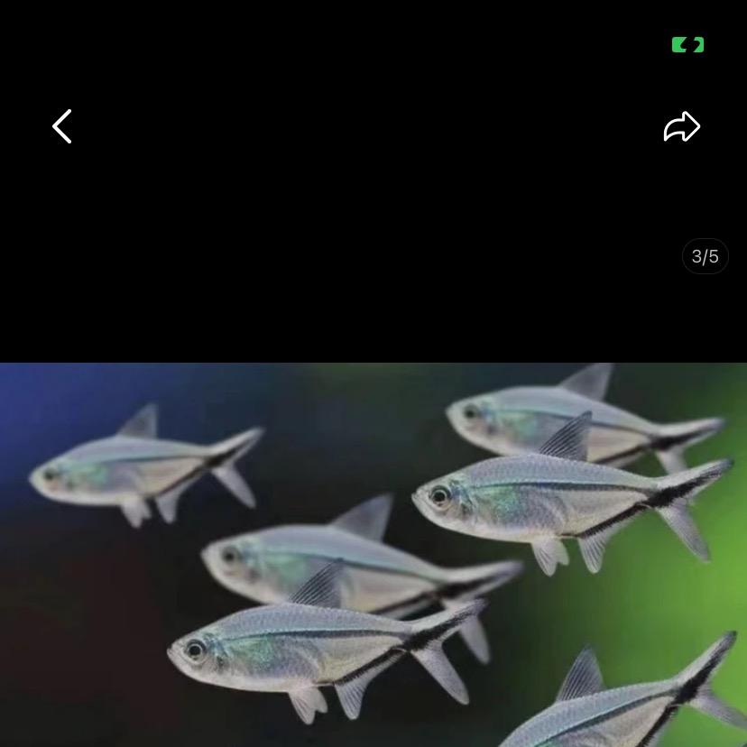 五彩空间水族
