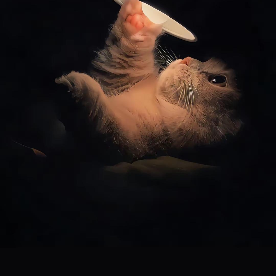 W.W