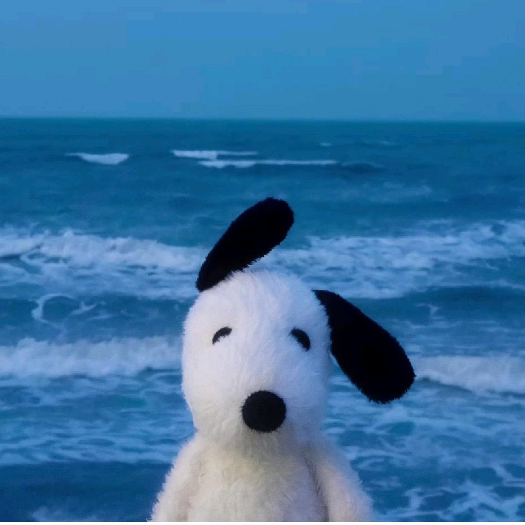 ￴￴￴ ￴￴   ￴ ￴￴￴