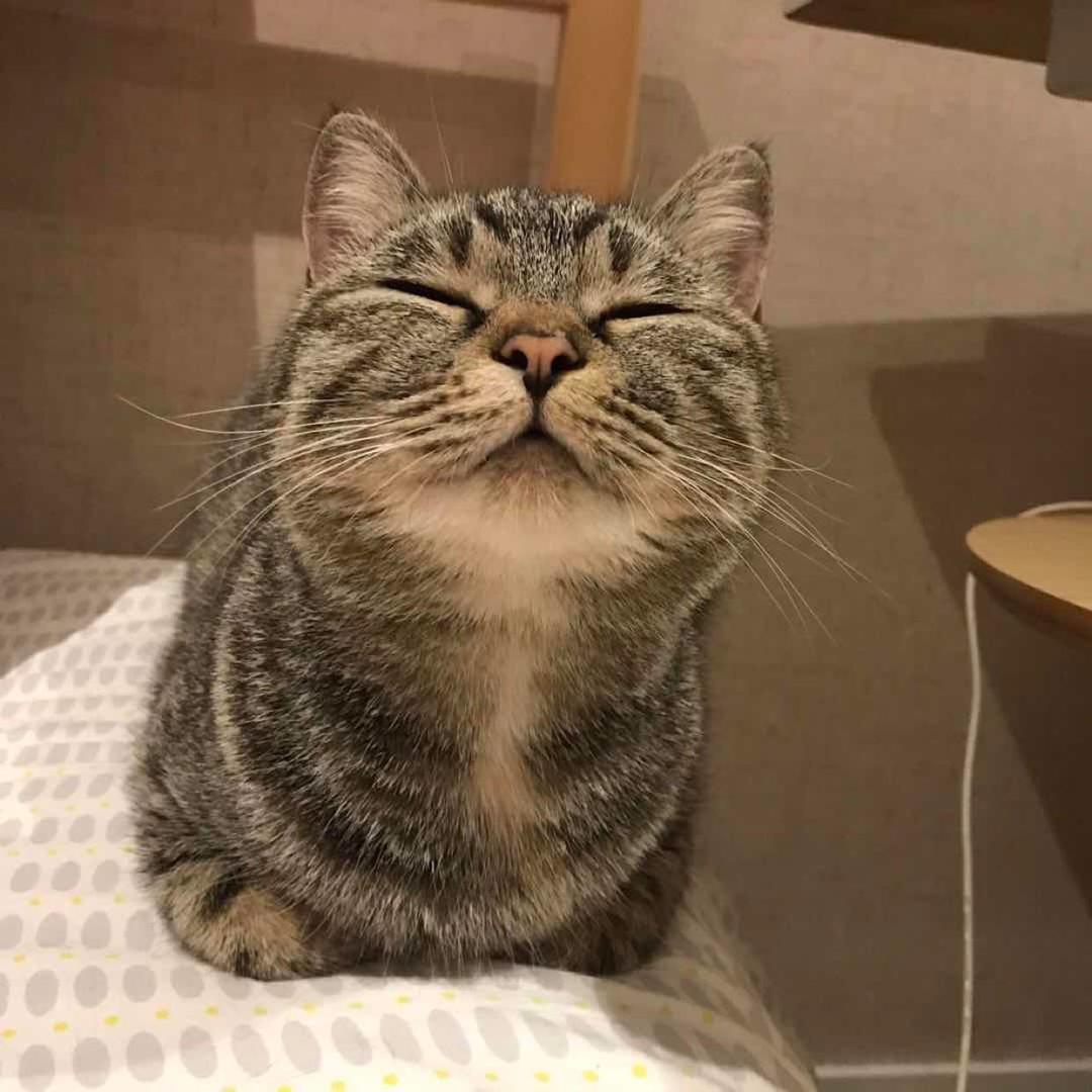 卅米先森
