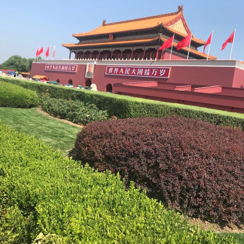 刘美
