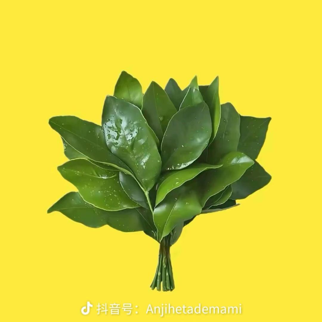 哈哈～