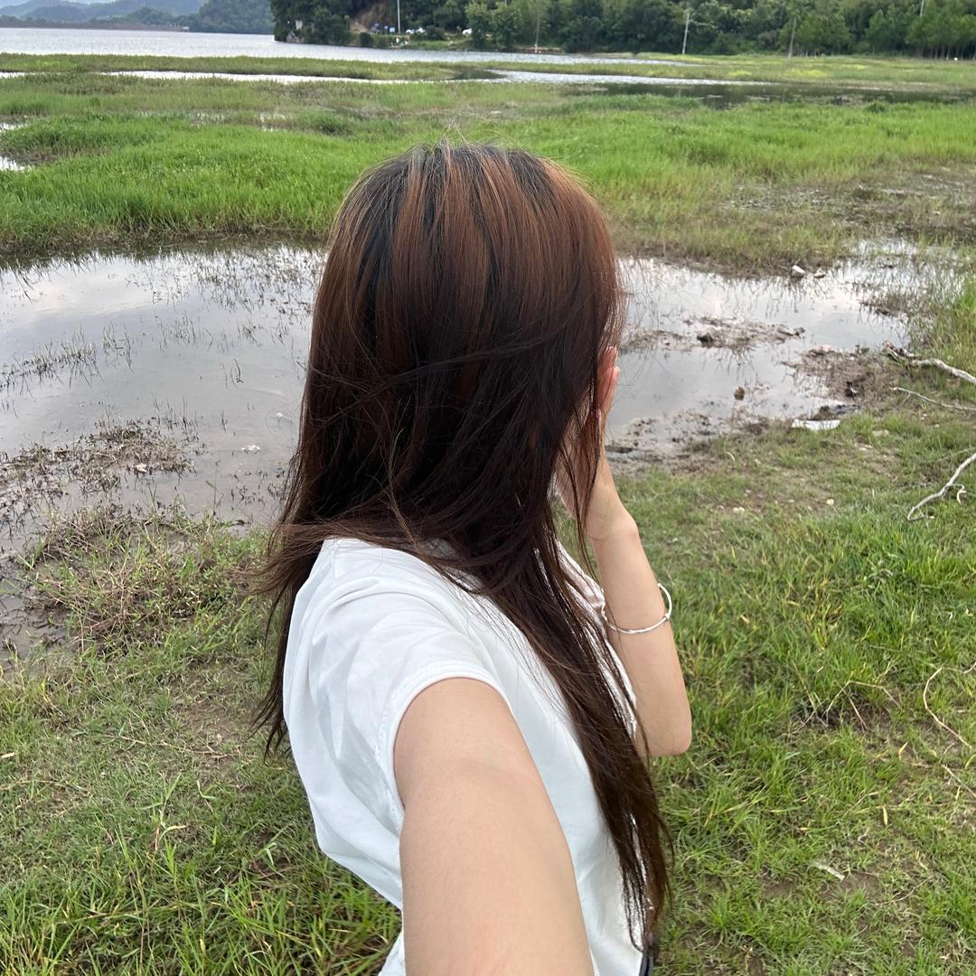梦.