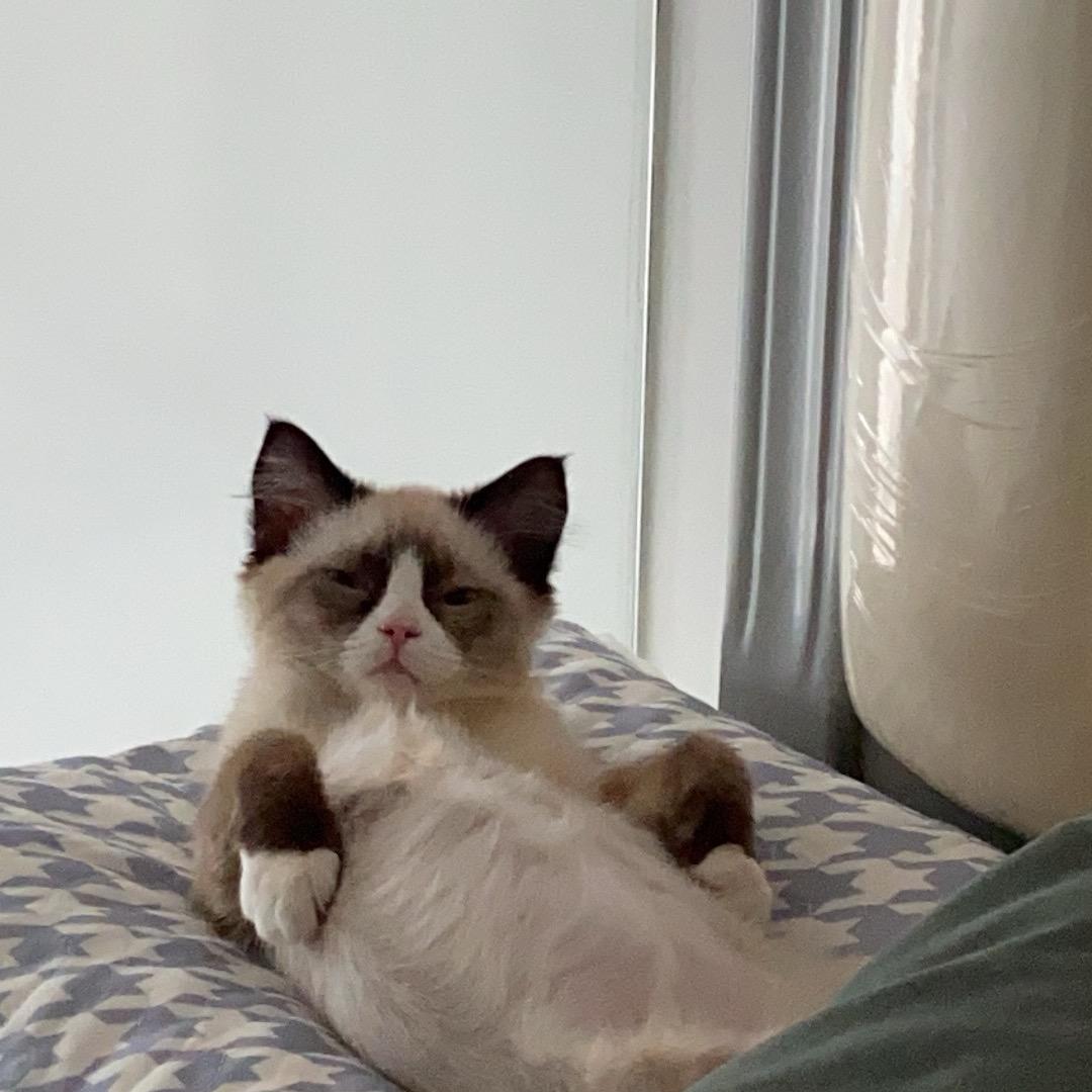 一枕槐安。