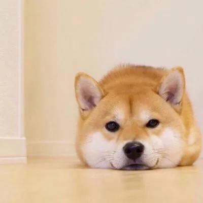 孤独的船