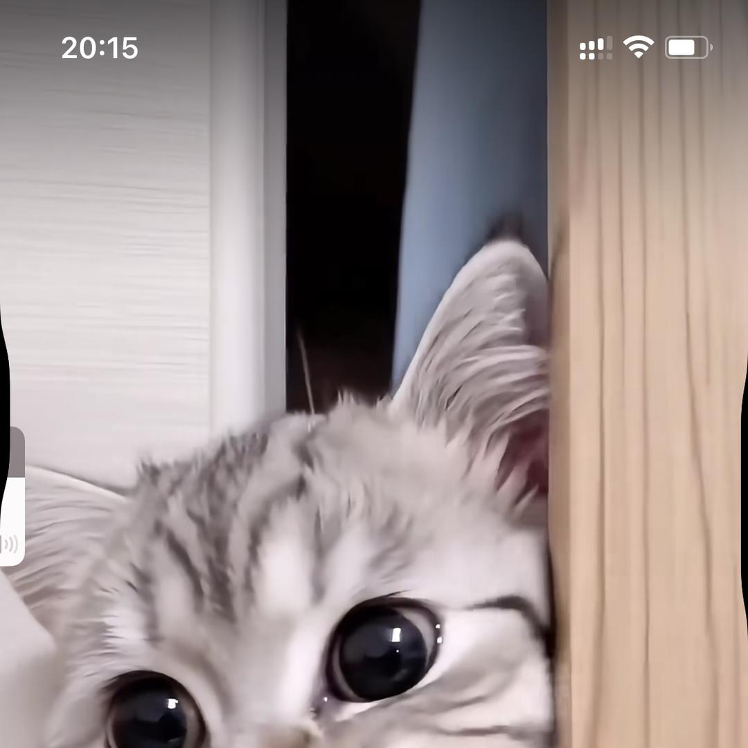 叶子百货