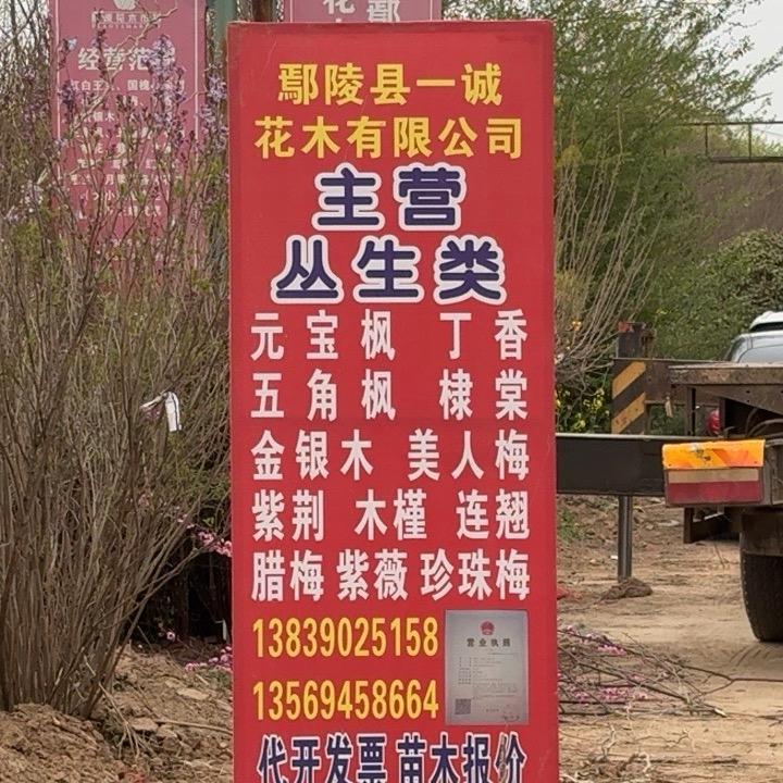 鄢陵县一诚花木有限公司
