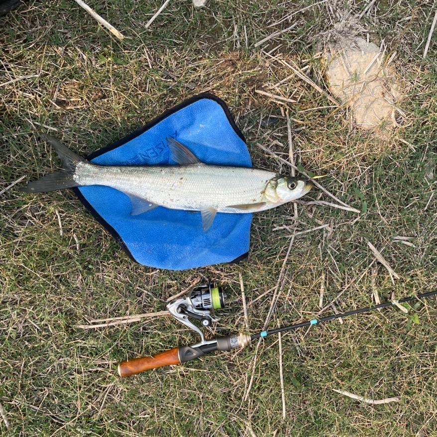 ꧁潇洒꧂（怀旧2003）