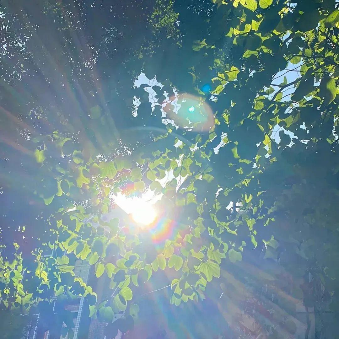 女宝星星🌟小月龄